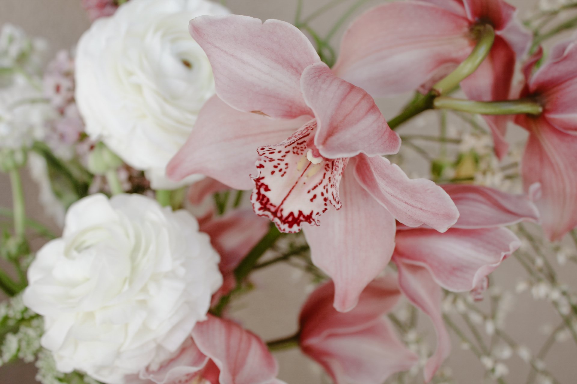 Spring Tea Party — photo 8